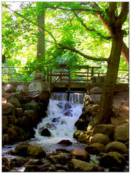 Oliwa Park Stream