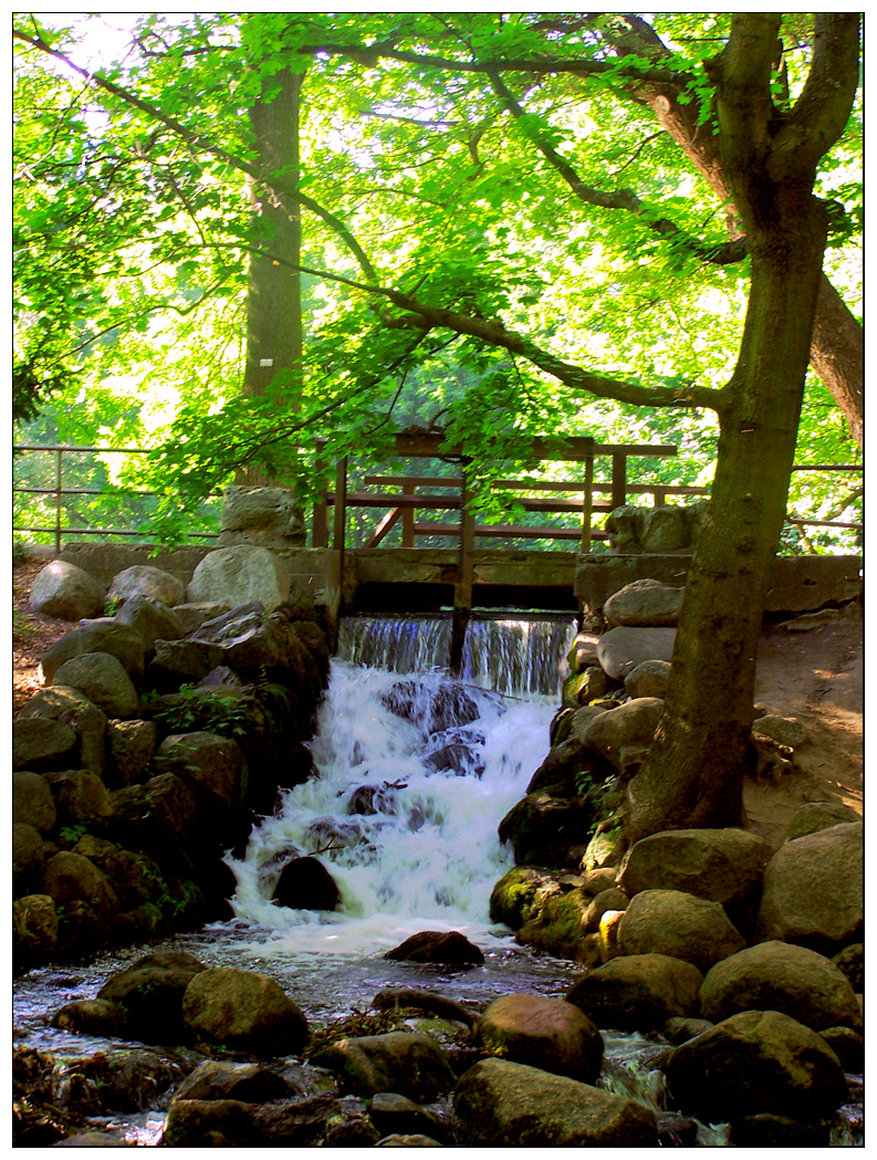 Oliwa Park Stream