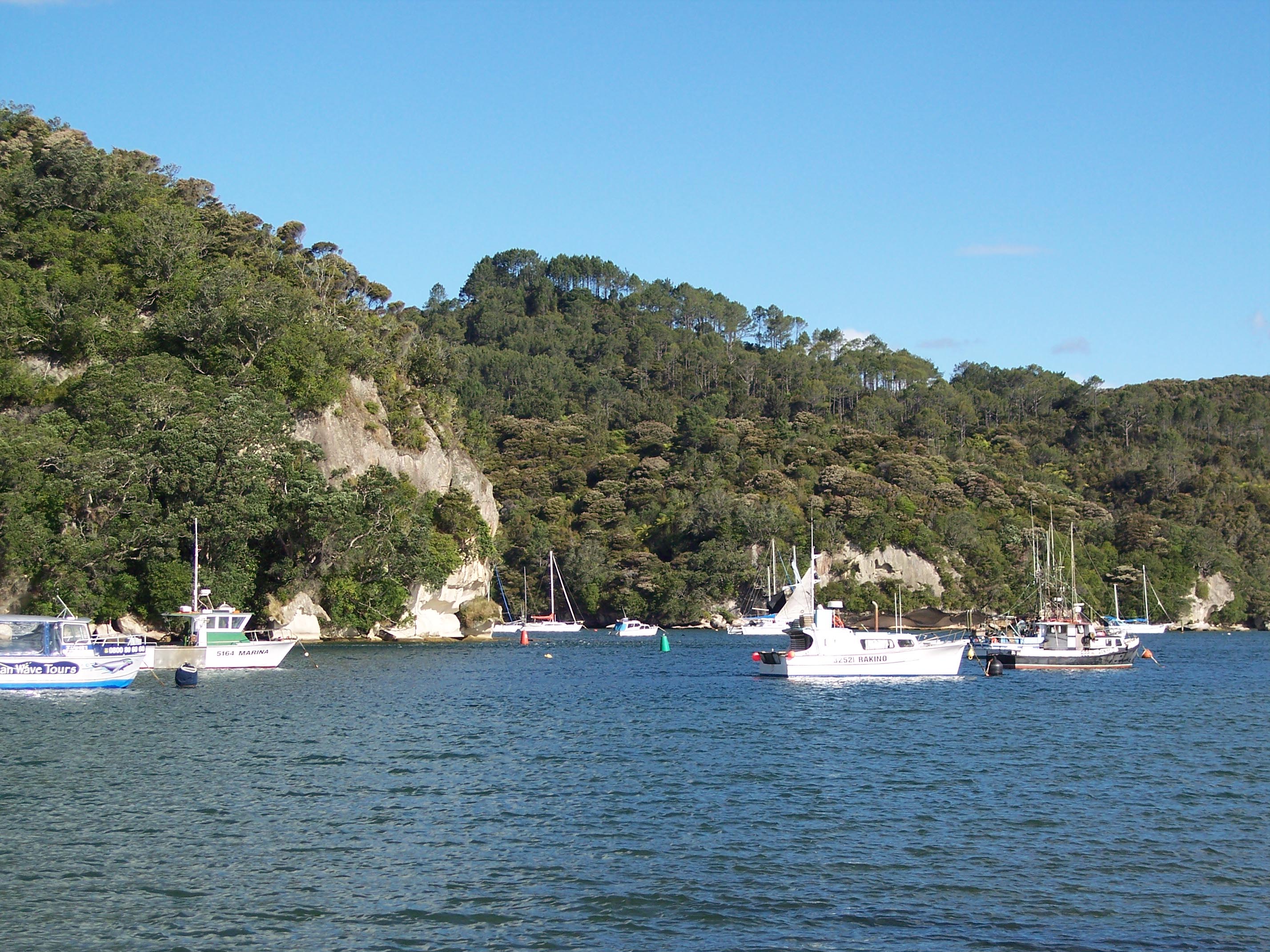 More from Whitianga 7