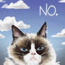 Grumpy Cat