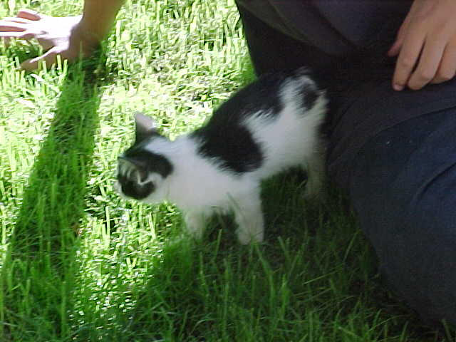 Lisi and My brother. by xserianx on DeviantArt