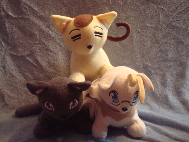 My Hetalia Kitties~