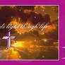 Nancy Lee banner