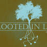 Rooted In Love