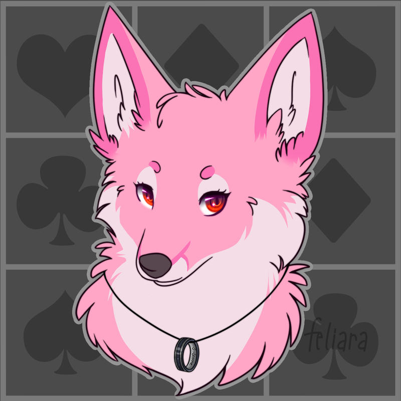 Apilia Fox Icon