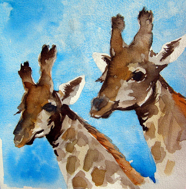 Giraffes