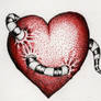 heart-worm