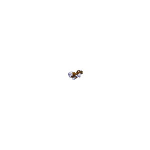 Hamster The Husky GIF - 00