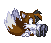 Hamster The Husky GIF - 2