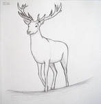 Deer by lunejaune145