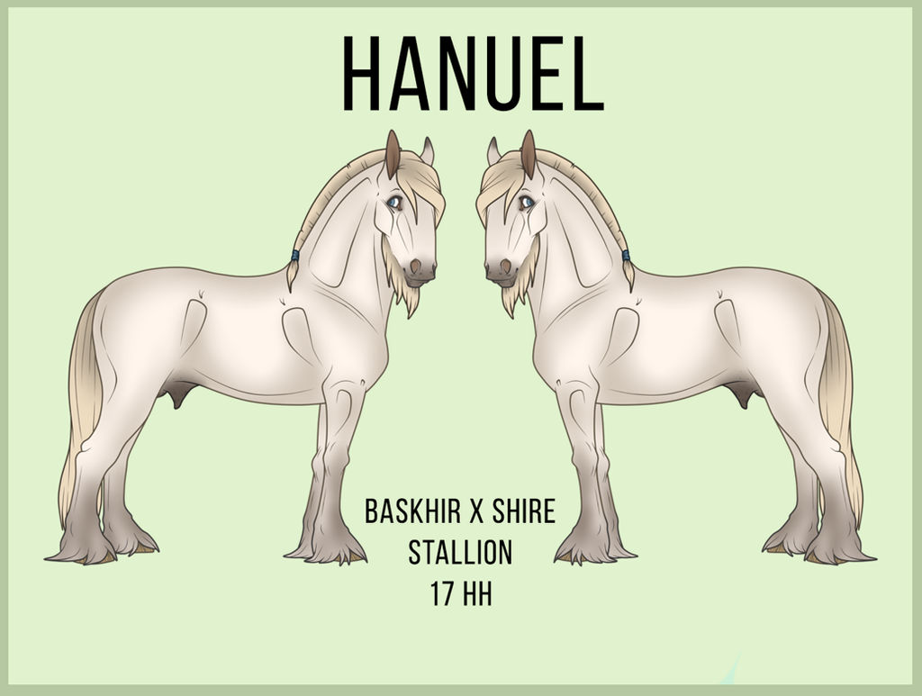 Hanuel Ref by StormBugs on DeviantArt