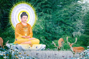 A Di Da Phat Quan The Am Guanyin Buddha 3246