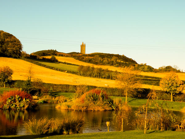 Fields of Gold