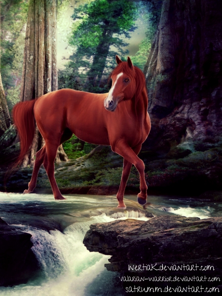 Horse manip