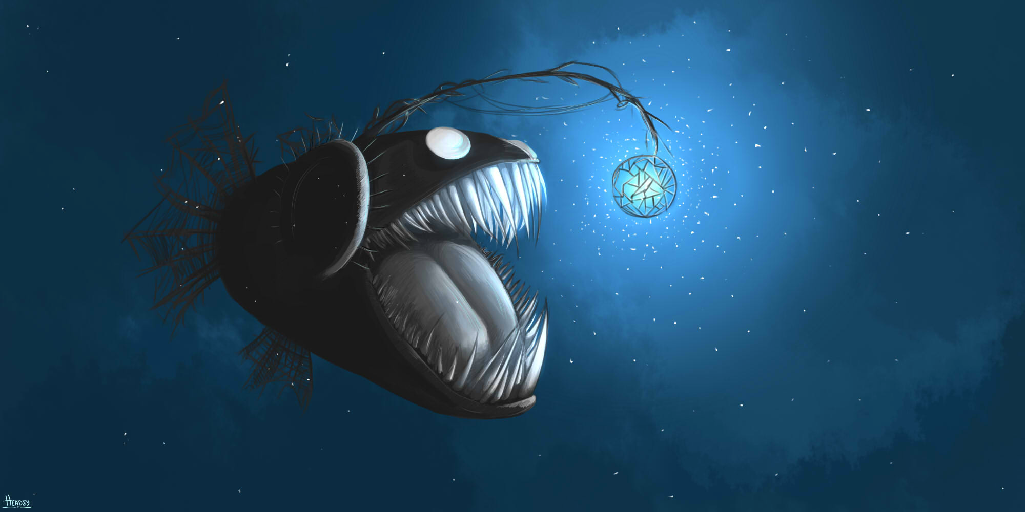 anglerfish of my soul