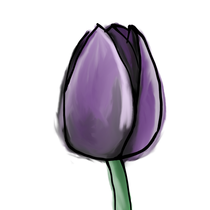 tulip paint 1