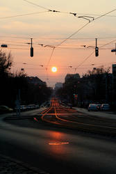 Sunny Tracks