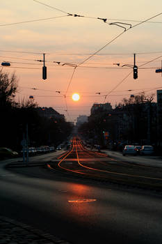 Sunny Tracks