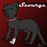 Scourge-failzz-