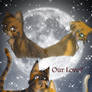 How did we lose our love?