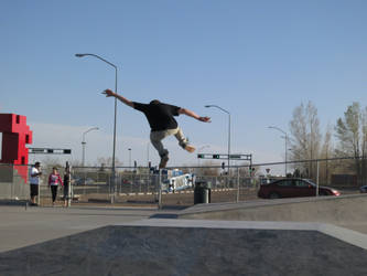 Day at the skate park