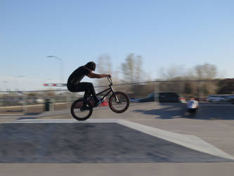 BMX at the skate park