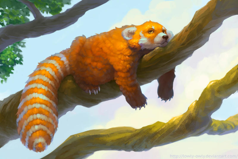 the Red panda by lowly-owly on DeviantArt