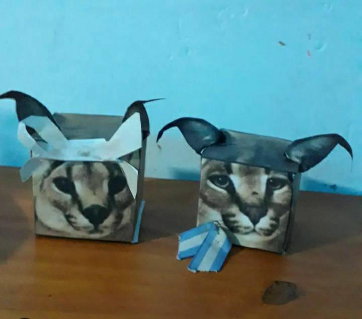 Floppa Box Texture Floppas Papercraft by SOYFABRI456 on DeviantArt