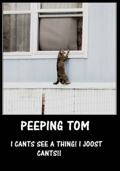 Peeping Tom