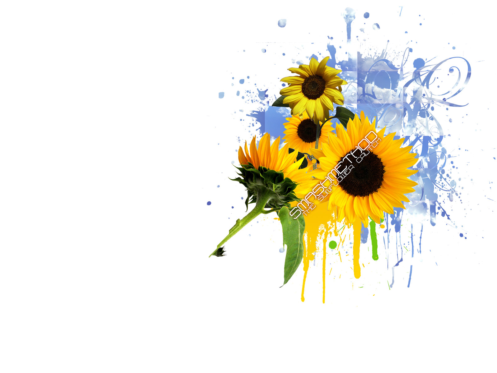 The Sunflower Crutch Wallpaper