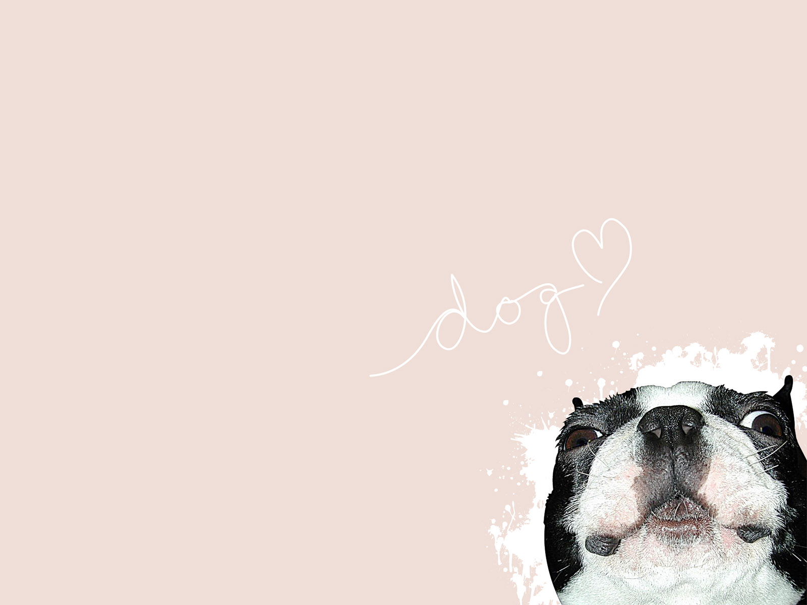 Minimalist Wallpapers on WallpaperDog