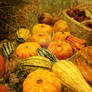 Autumn squash