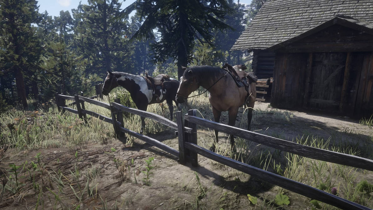 Red Dead Redemption 2 horse ver 1 by SleepyxxHollow on DeviantArt