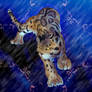 The Visions: Clouded Leopard