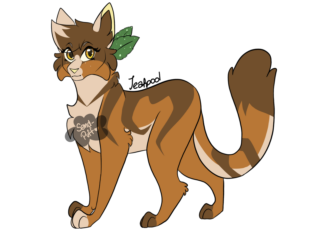 Sandpuff Leafpool Design by sandpuff on DeviantArt