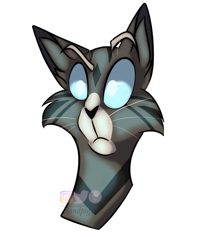Sandpuff Jayfeather (practice) by sandpuff on DeviantArt