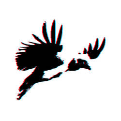 Vulture01