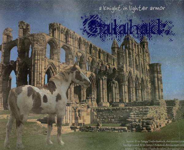 Galahad Picture