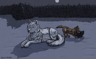 Explore The Best Louveteau Art Deviantart Explore The Best Louveteau Art Deviantart