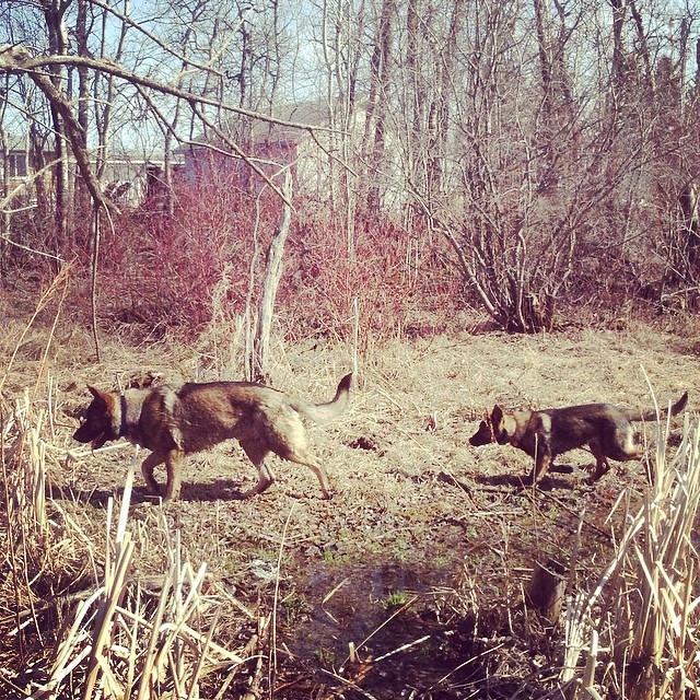 Nature walk