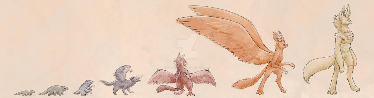 Bird Evolution Deviantart Evolution by Toad-Moss on DeviantArt
