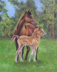 mother and foal