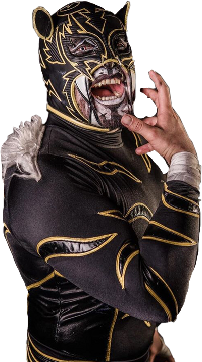 Puma sales king wrestling