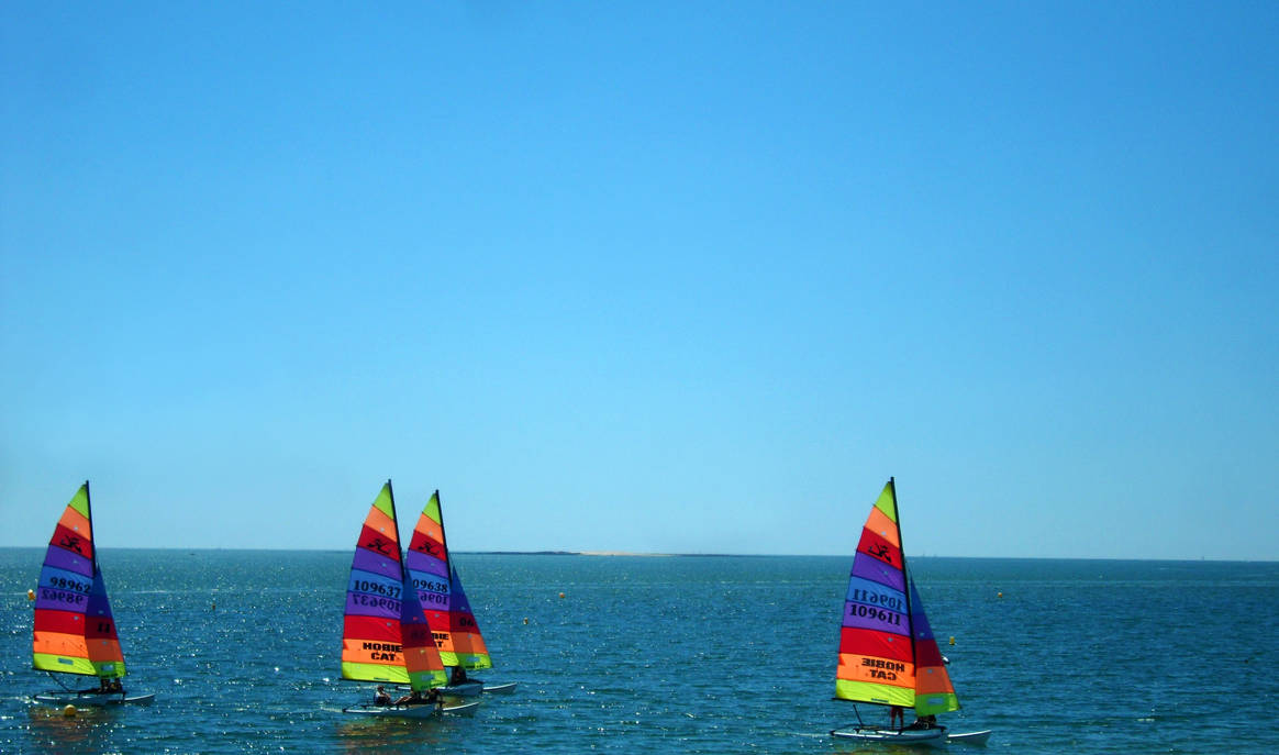 Small Racing Catamaran Small racing catamarans by SP4RTI4TE on DeviantArt