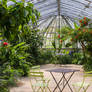 Greenhouse II