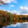 Etang du Rupt