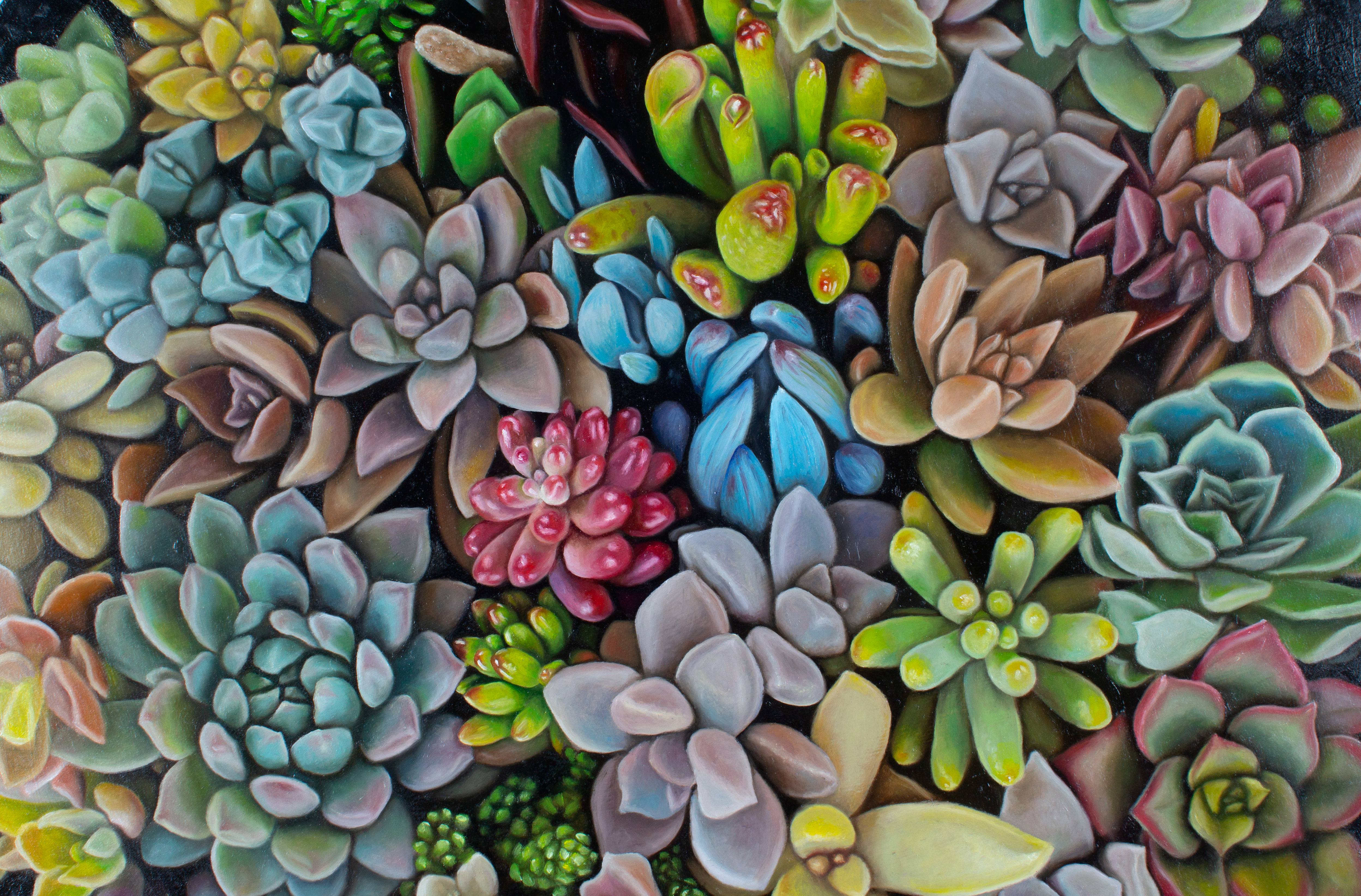 Succulessence Detail