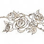 Roses: Lineart