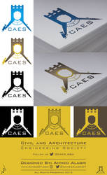 CAES 2013 Logo