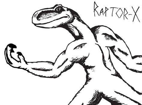 Raptor-X sketch